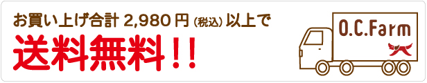 犬 おやつ 2,980円以上で送料無料！！